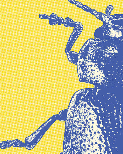The Beetles Poster