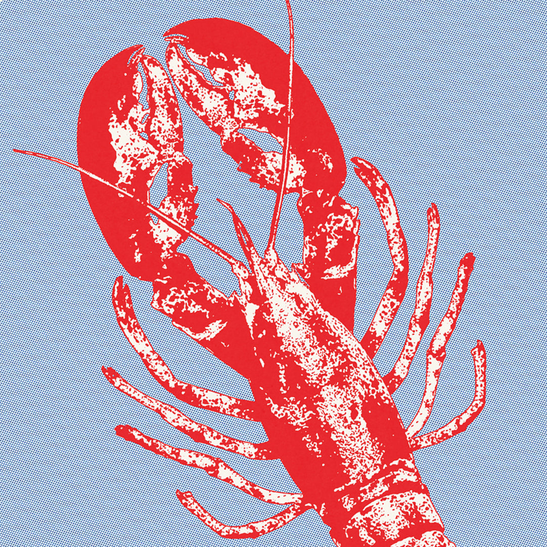Póster Rock Lobster